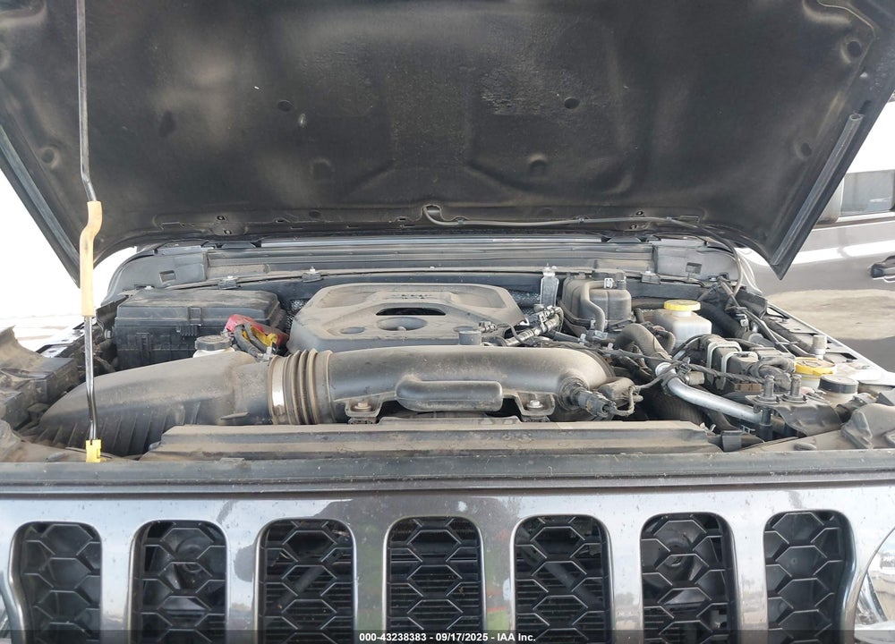 2024 JEEP WRANGLER / VIN: 1C4PJXDN0RW110857