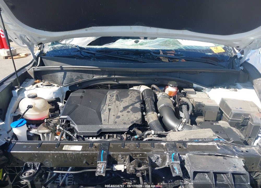 2023 KIA SORENTO VIN: 5XYRHDLF2PG252473
