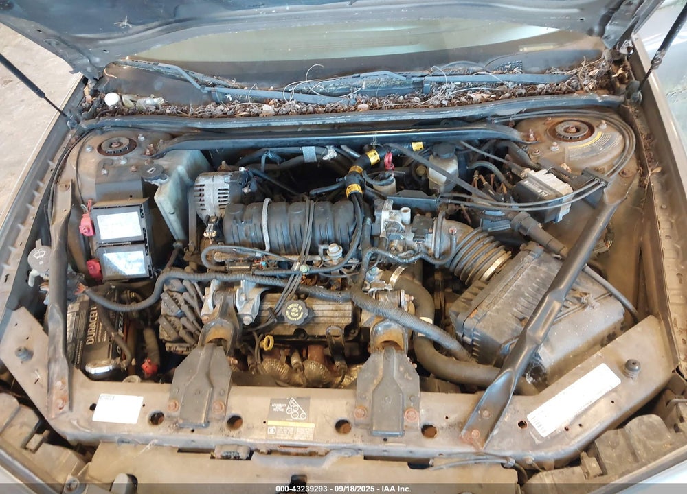2002 CHEVROLET IMPALA LS VIN: 2G1WH55K929122724