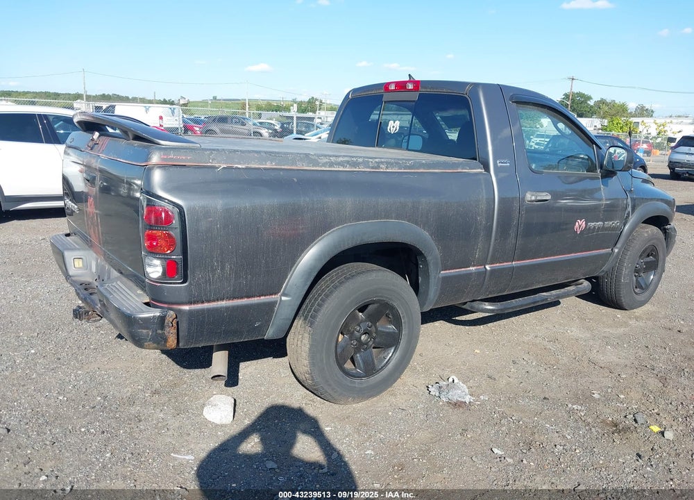 2002 DODGE RAM 1500 ST VIN: 1D7HA16N82J218909