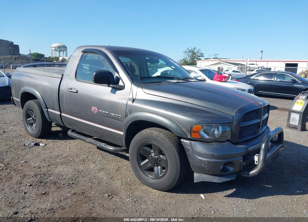 2002 DODGE RAM 1500 ST VIN: 1D7HA16N82J218909