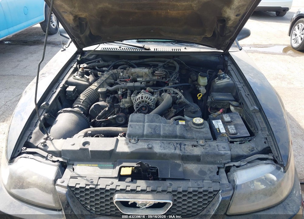 2003 FORD MUSTANG GT VIN: 1FAFP42X13F310382