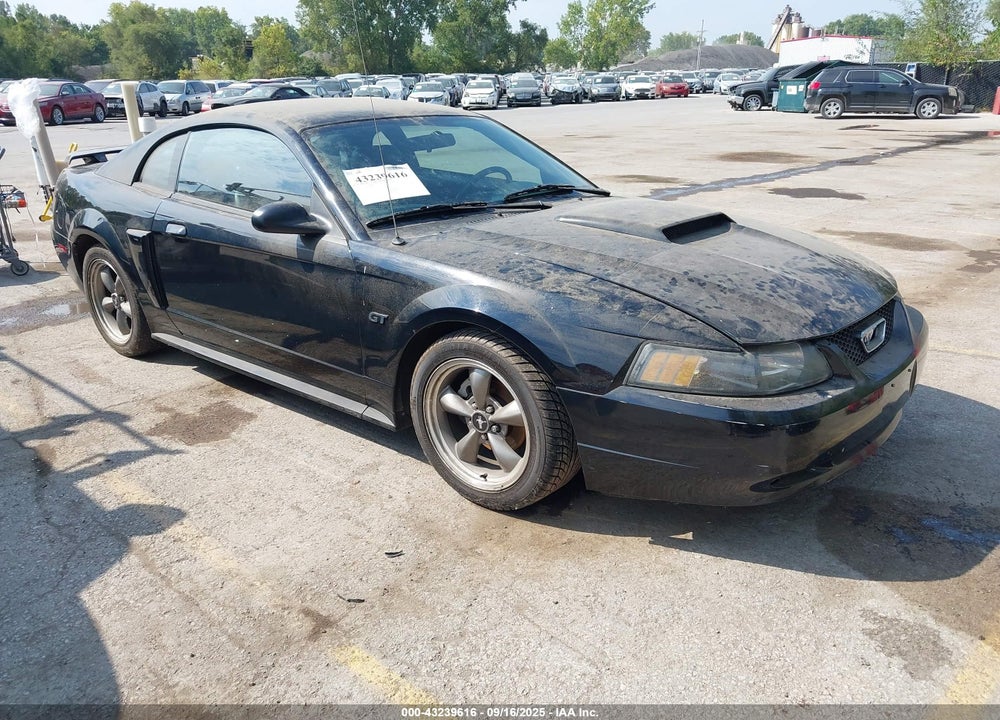 2003 FORD MUSTANG GT VIN: 1FAFP42X13F310382
