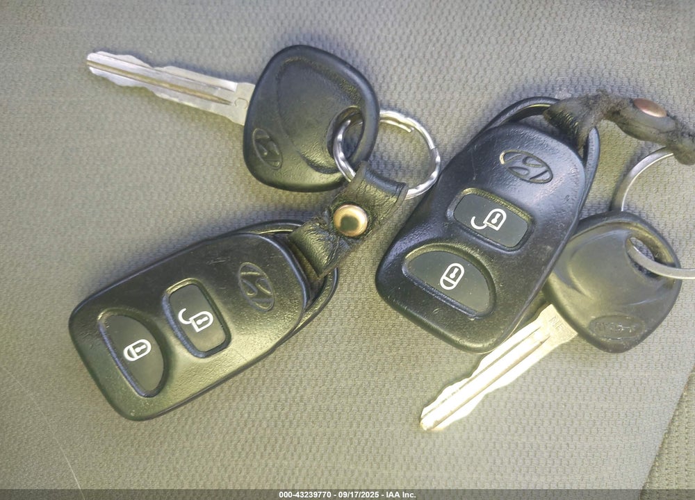 2010 HYUNDAI SANTA FE VIN: 5NMSGDAB8AH365832