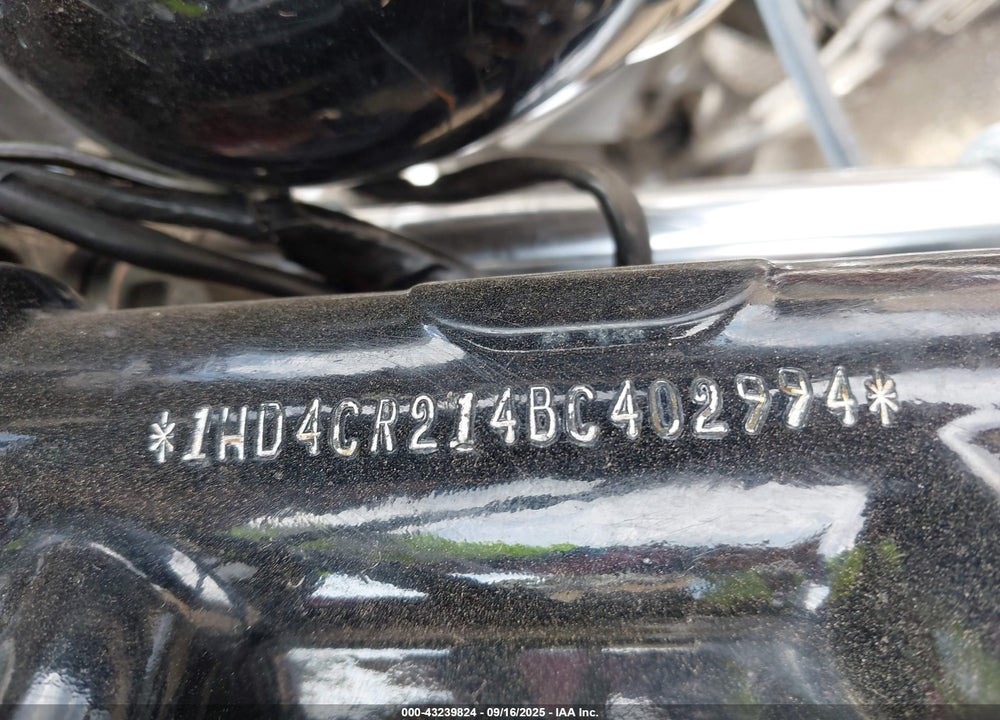 2011 HARLEY-DAVIDSON XL883 L VIN: 1HD4CR214BC402994