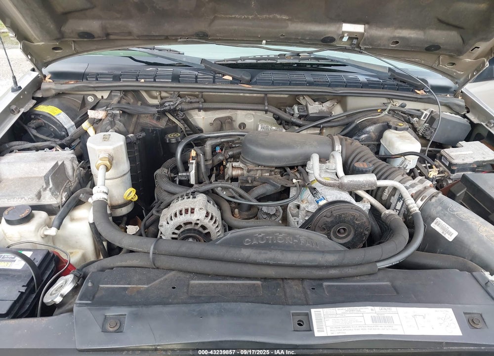 2001 CHEVROLET S-10 LS VIN: 1GCCS19WX18142895