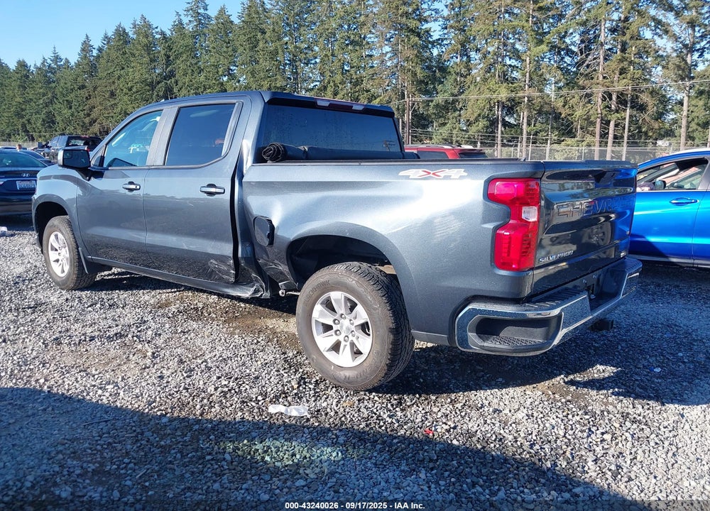 2019 CHEVROLET SILVERADO 1500 VIN: 1GCUYDED1KZ165924