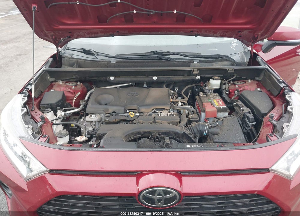 2019 TOYOTA RAV4 VIN: JTMW1RFV2KD026660