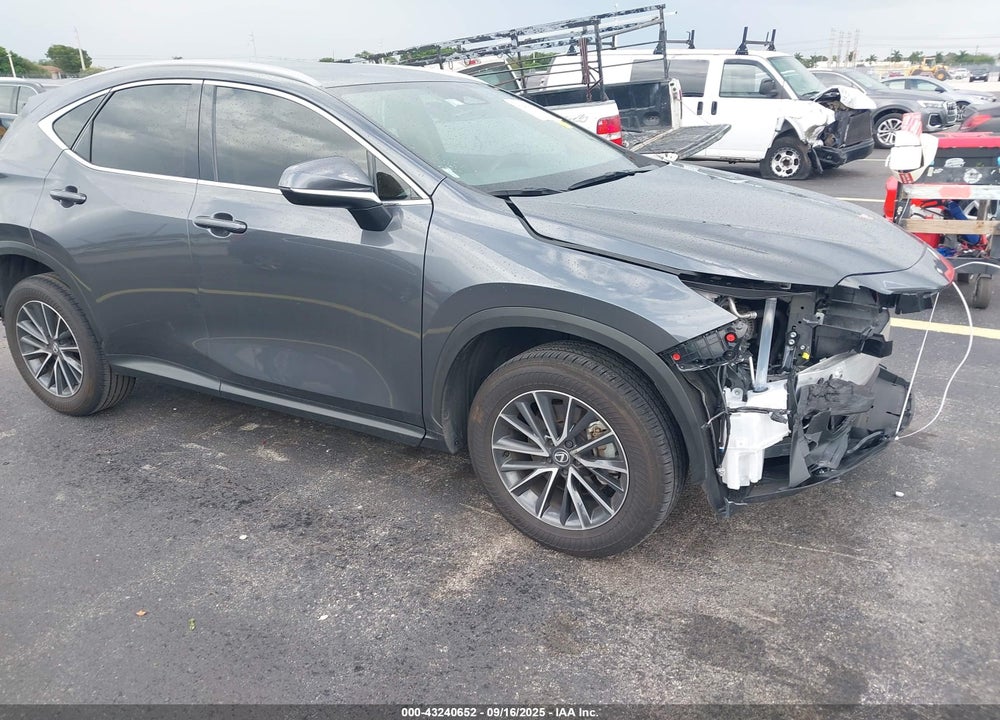 2025 LEXUS NX 250 VIN: 2T2ADCAZ4SC019436