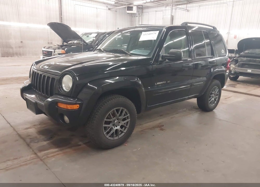 2002 JEEP LIBERTY LIMITED EDITION VIN: 1J4GL58K22W143065