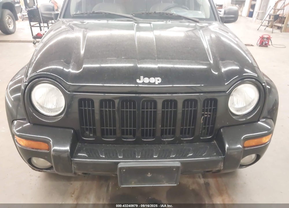 2002 JEEP LIBERTY LIMITED EDITION VIN: 1J4GL58K22W143065