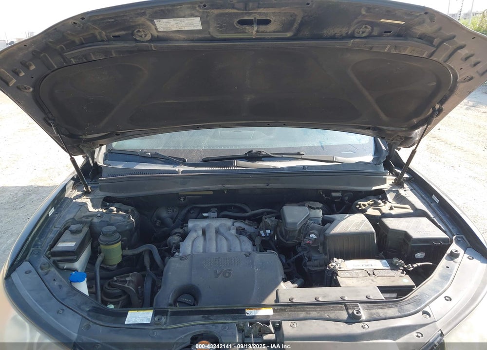 2009 HYUNDAI SANTA FE GLS VIN: 5NMSG13D79H271210