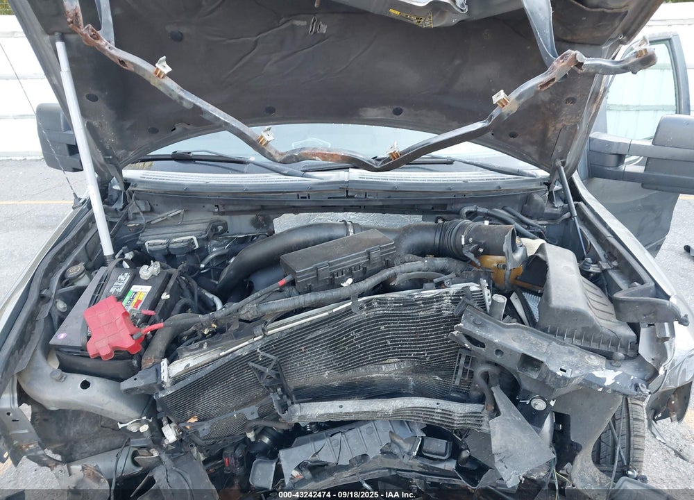 2011 FORD F-150 VIN: 1FTFW1ET8BFB76490