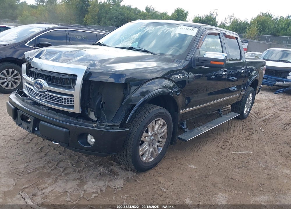 2010 FORD F-150 VIN: 1FTFW1EV5AFC97753
