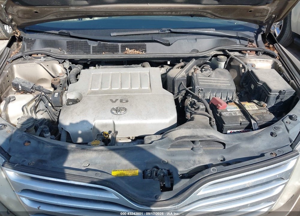 2010 TOYOTA VENZA VIN: 4T3BK3BB1AU041978