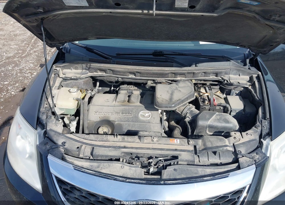 2011 MAZDA CX-9 SPORT VIN: JM3TB3BA5B0319709