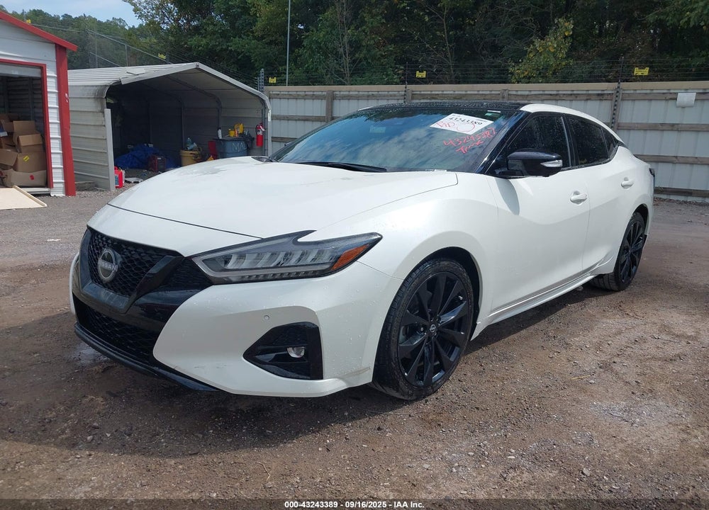 2023 NISSAN MAXIMA SR XTRONIC CVT VIN: 1N4AA6EV7PC502365