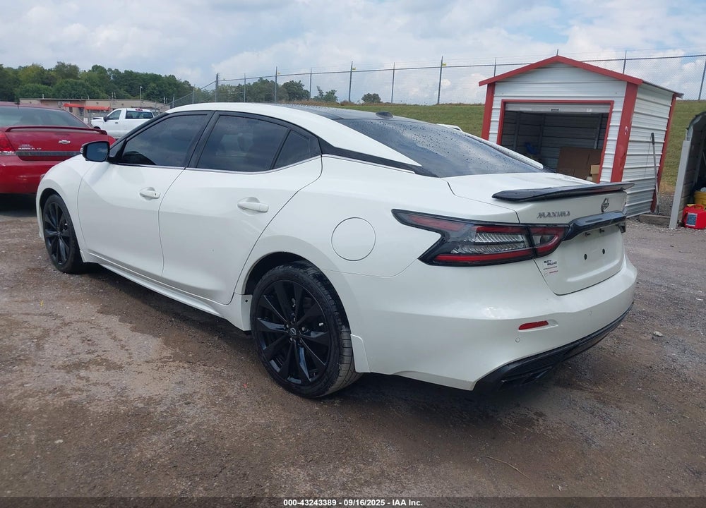 2023 NISSAN MAXIMA SR XTRONIC CVT VIN: 1N4AA6EV7PC502365