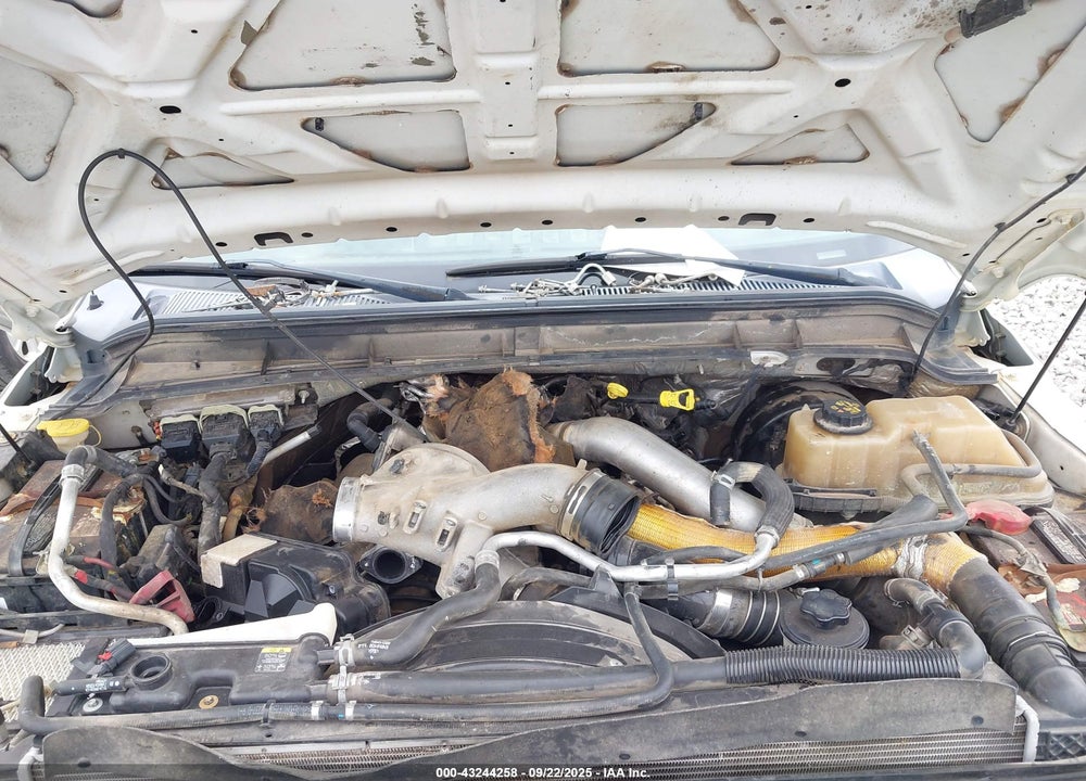 2011 FORD F-250 XL VIN: 1FT7W2BT2BEC61815