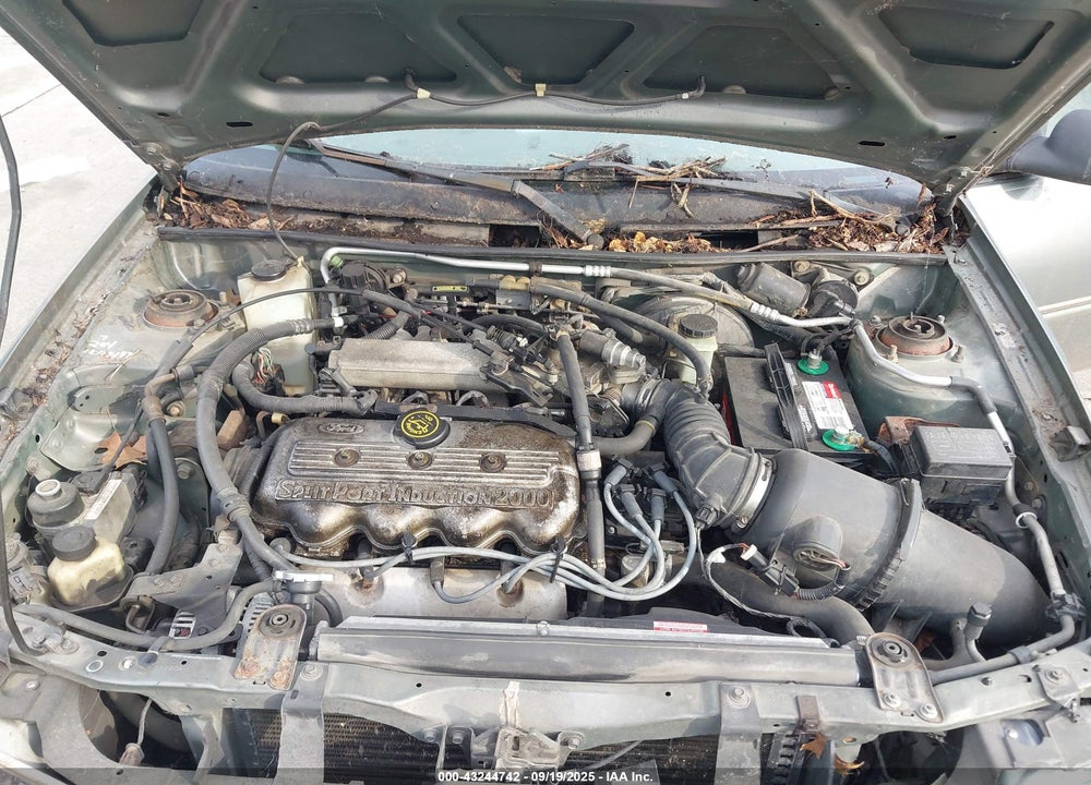 1998 FORD ESCORT SE VIN: 3FAFP15P7WR173627