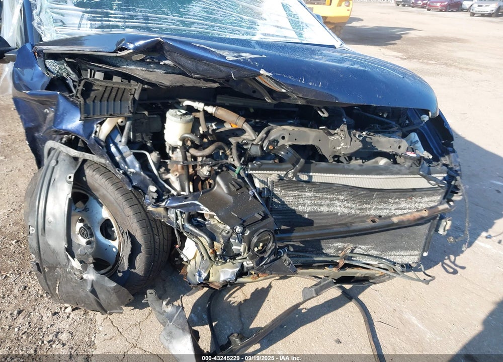 2009 HONDA CR-V VIN: 5J6RE48339L000241
