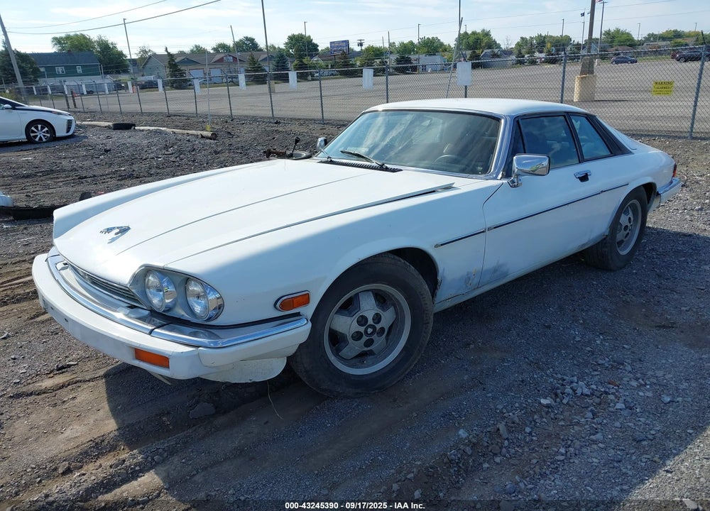 1985 JAGUAR XJS VIN: SAJNV5845FC119828