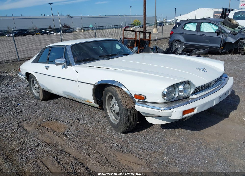 1985 JAGUAR XJS VIN: SAJNV5845FC119828
