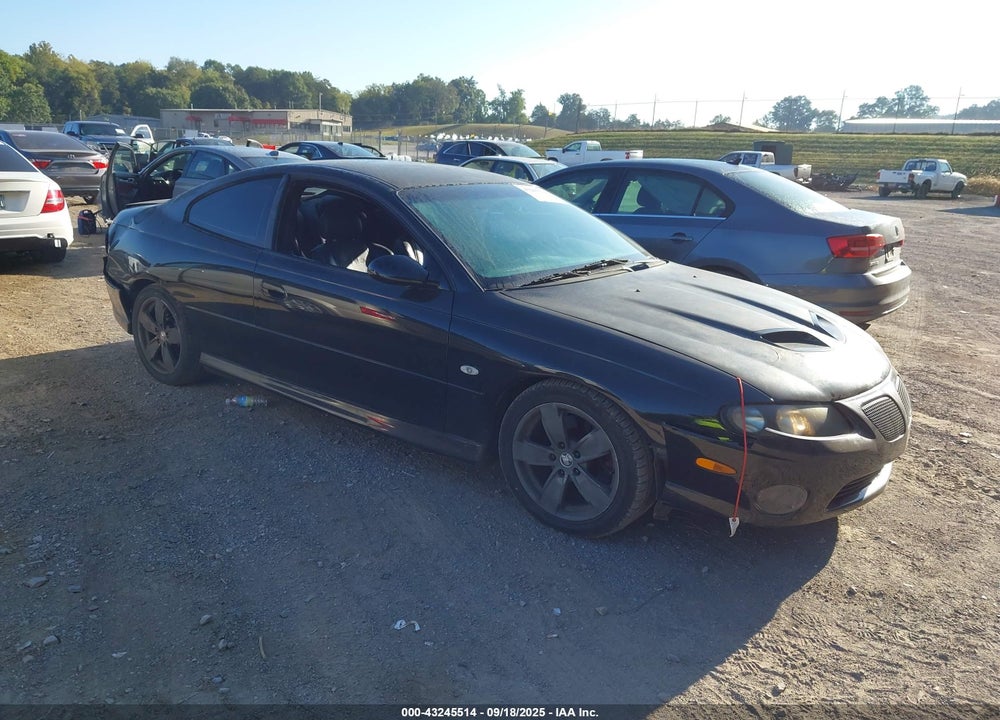 2004 PONTIAC GTO VIN: 6G2VX12G14L238260
