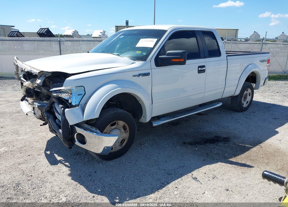 2013 FORD F-150 VIN: 1FTFX1EF6DKG34061