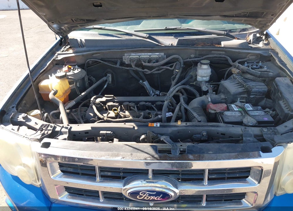 2011 FORD ESCAPE VIN: 1FMCU0D70BKA27890