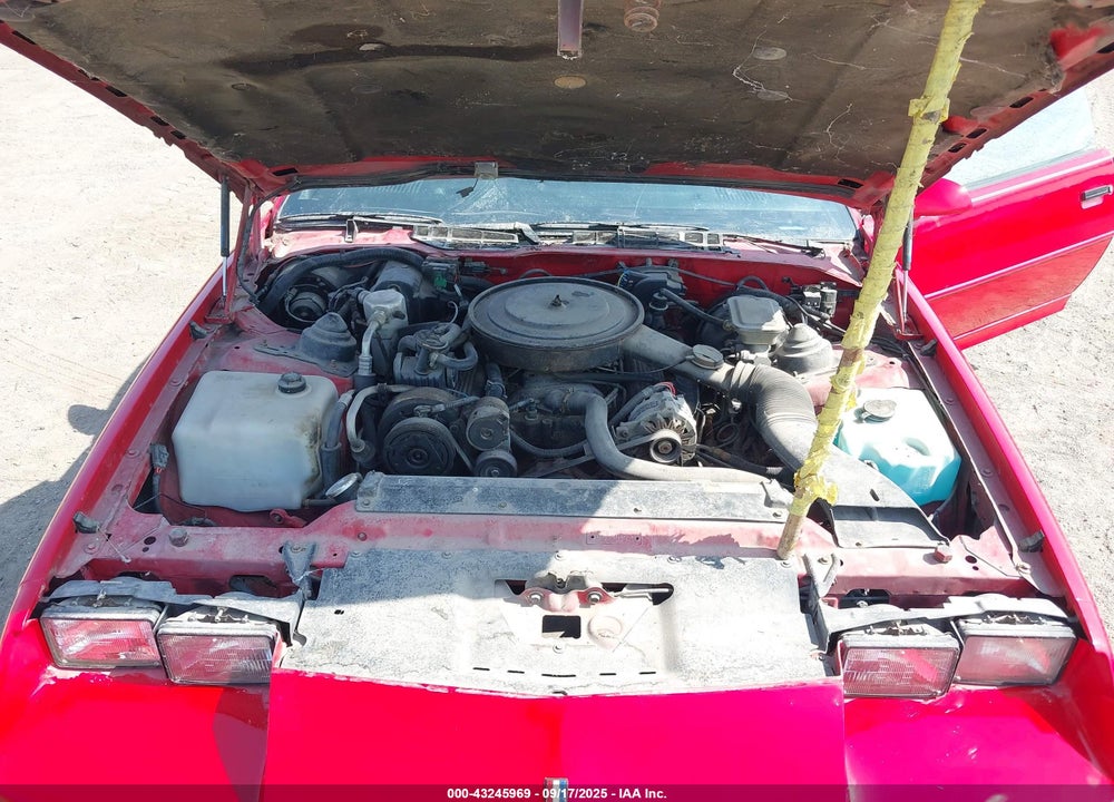 1989 CHEVROLET CAMARO VIN: 1G1FP21EXKL138456