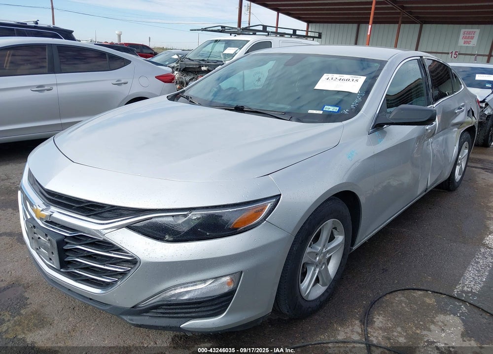 2019 CHEVROLET MALIBU 1LS VIN: 1G1ZB5ST3KF206699