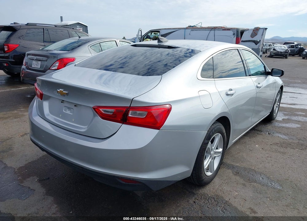 2019 CHEVROLET MALIBU 1LS VIN: 1G1ZB5ST3KF206699