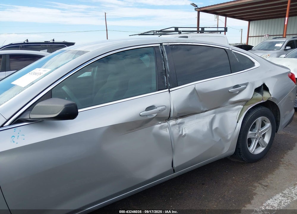 2019 CHEVROLET MALIBU 1LS VIN: 1G1ZB5ST3KF206699