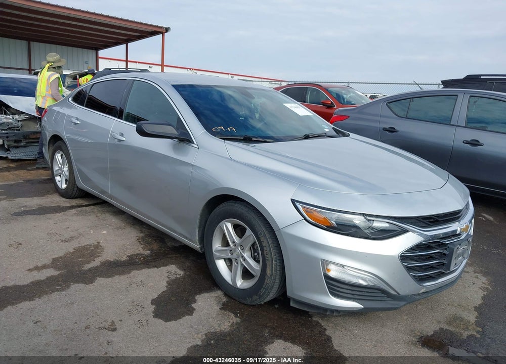 2019 CHEVROLET MALIBU 1LS VIN: 1G1ZB5ST3KF206699