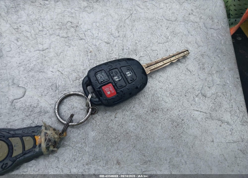 2016 TOYOTA RAV4 XLE VIN: 2T3WFREV5GW277556