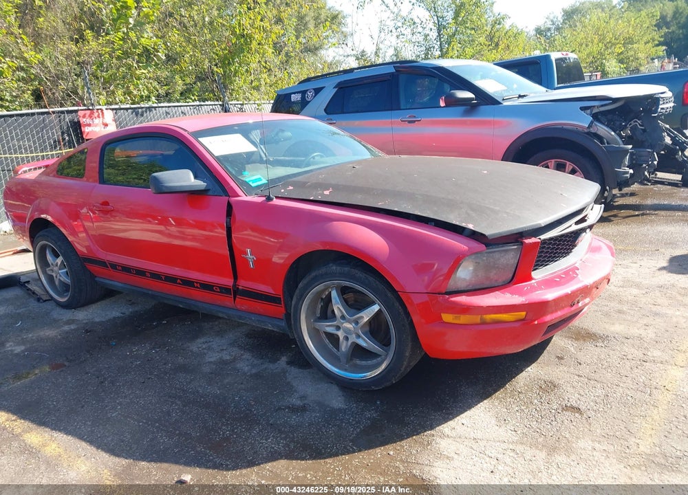 2006 FORD MUSTANG V6 VIN: 1ZVHT80N265219636