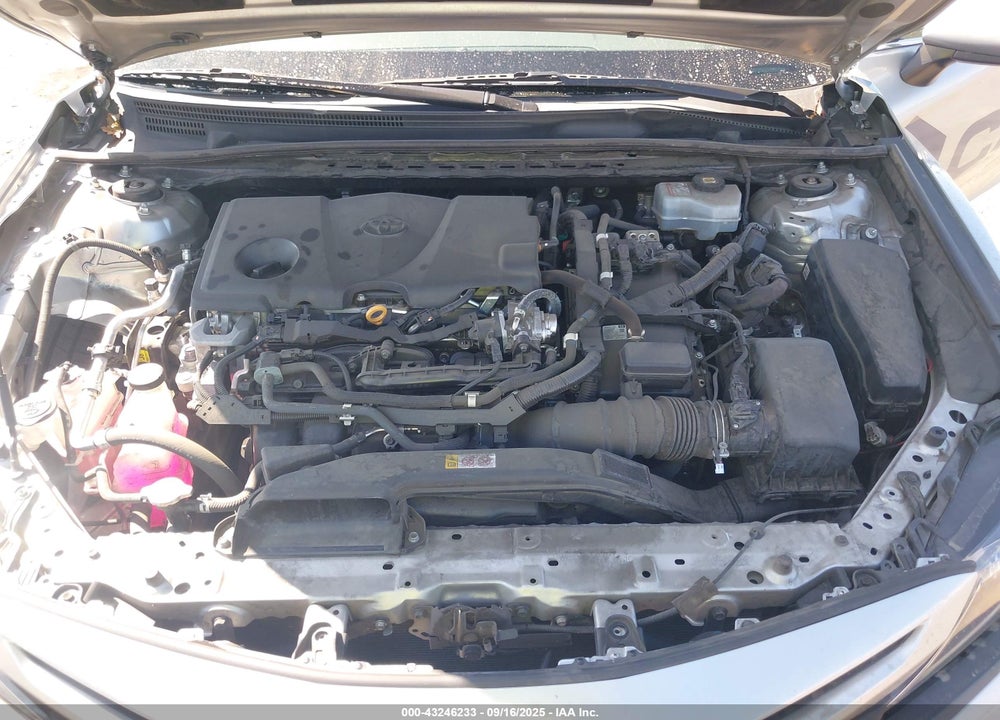 2021 TOYOTA CAMRY VIN: 4T1G31AK0MU556377