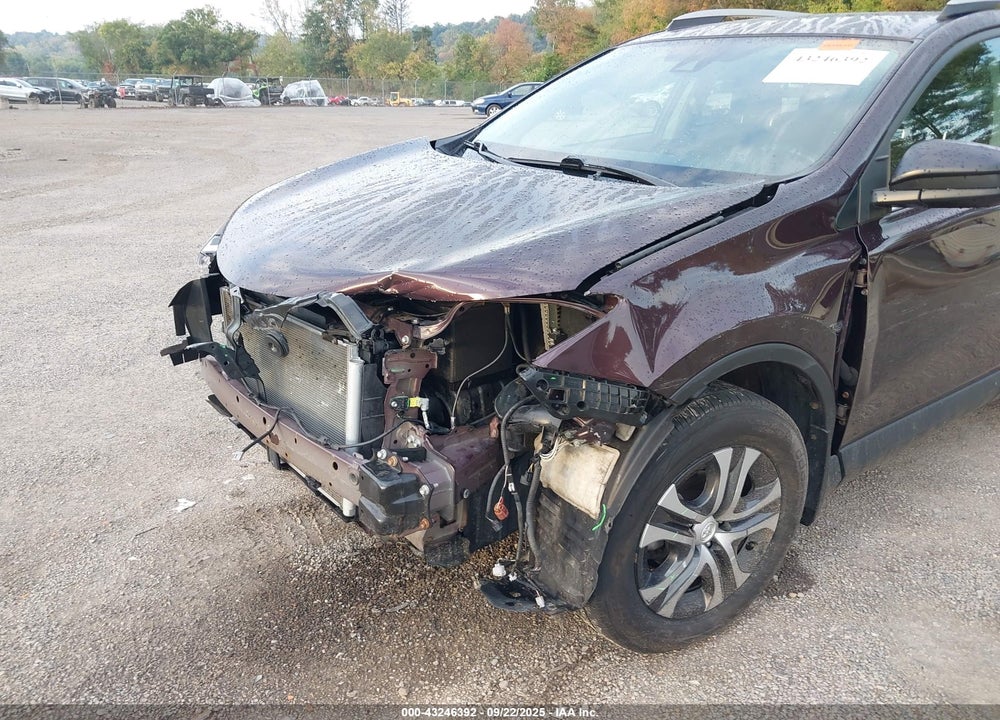 2018 TOYOTA RAV4 LE VIN: 2T3BFREV1JW834369