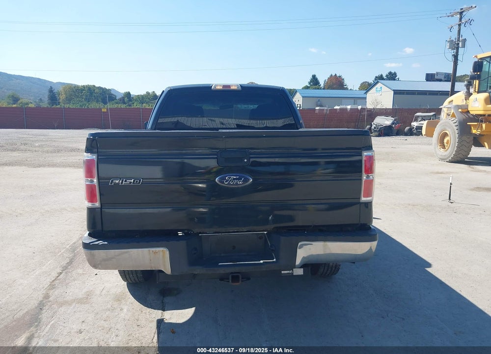 2010 FORD F-150 VIN: 1FTEX1E88AFB16969
