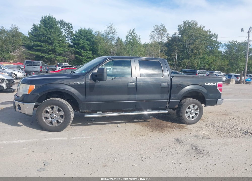 2010 FORD F-150 VIN: 1FTFW1EV5AFC67474