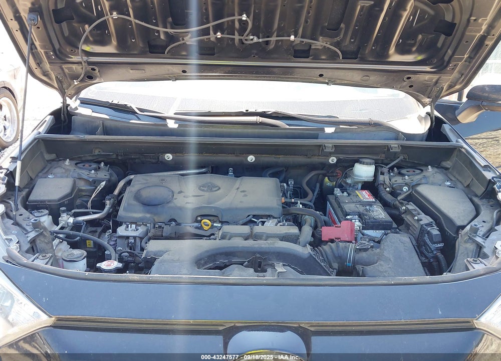 2019 TOYOTA RAV4 LIMITED VIN: JTMY1RFV8KD041592
