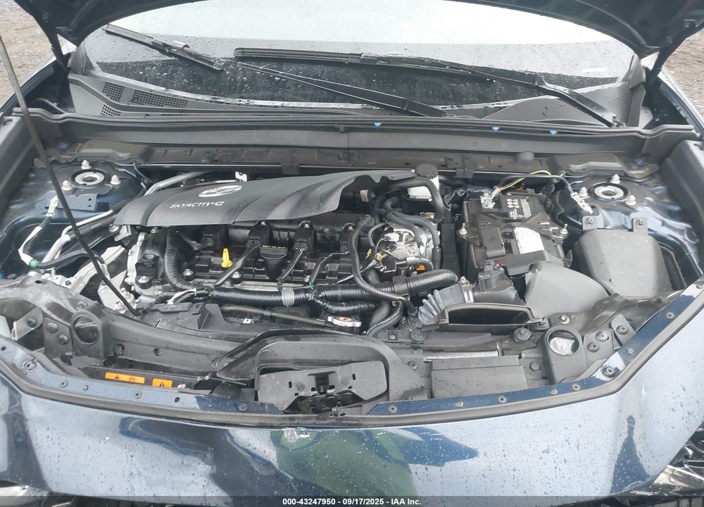 2021 MAZDA CX-30 VIN: 3MVDMBCL0MM316491