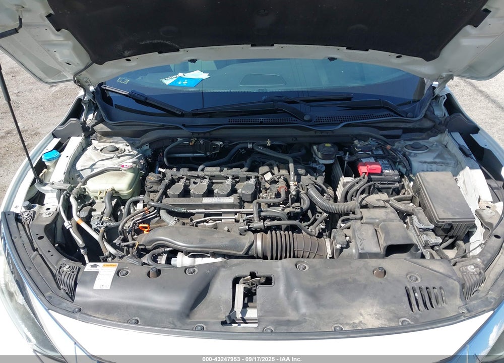 2016 HONDA CIVIC VIN: 2HGFC3B99GH356081
