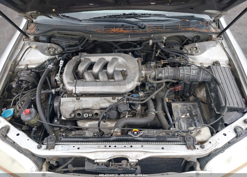 2002 HONDA ACCORD 3.0 EX VIN: 1HGCG16532A081463