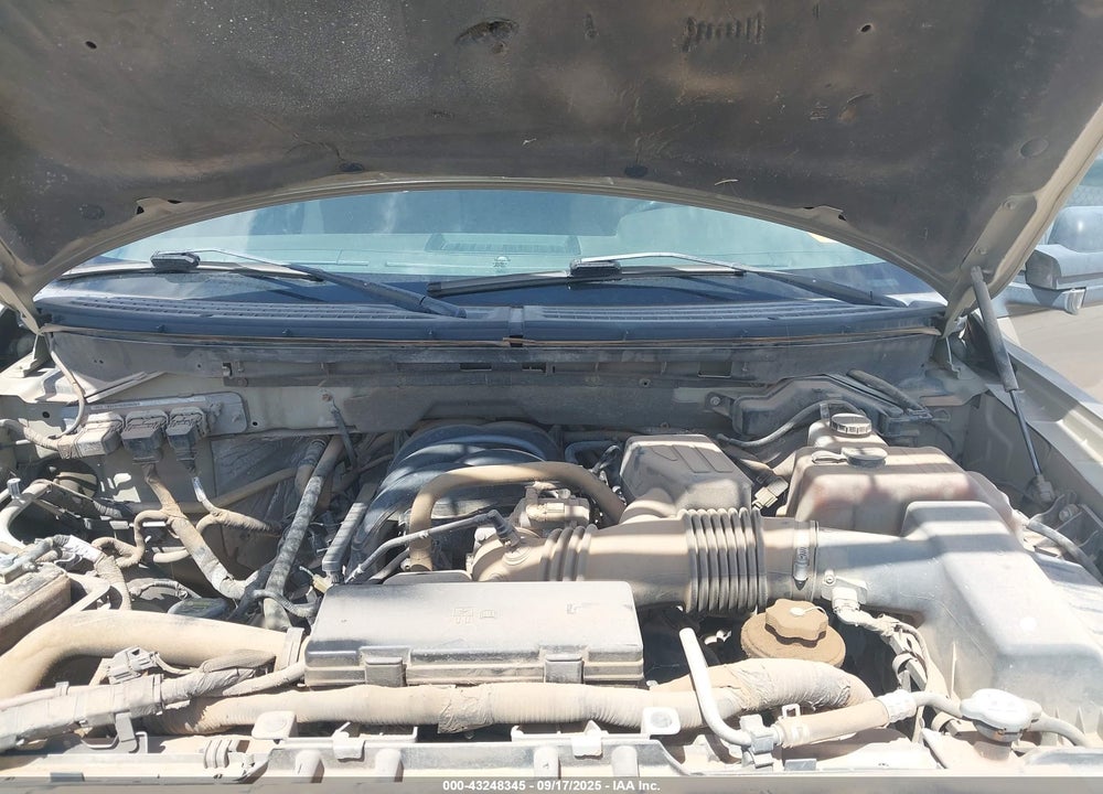 2010 FORD F-150 VIN: 1FTEW1E8XAFA52839
