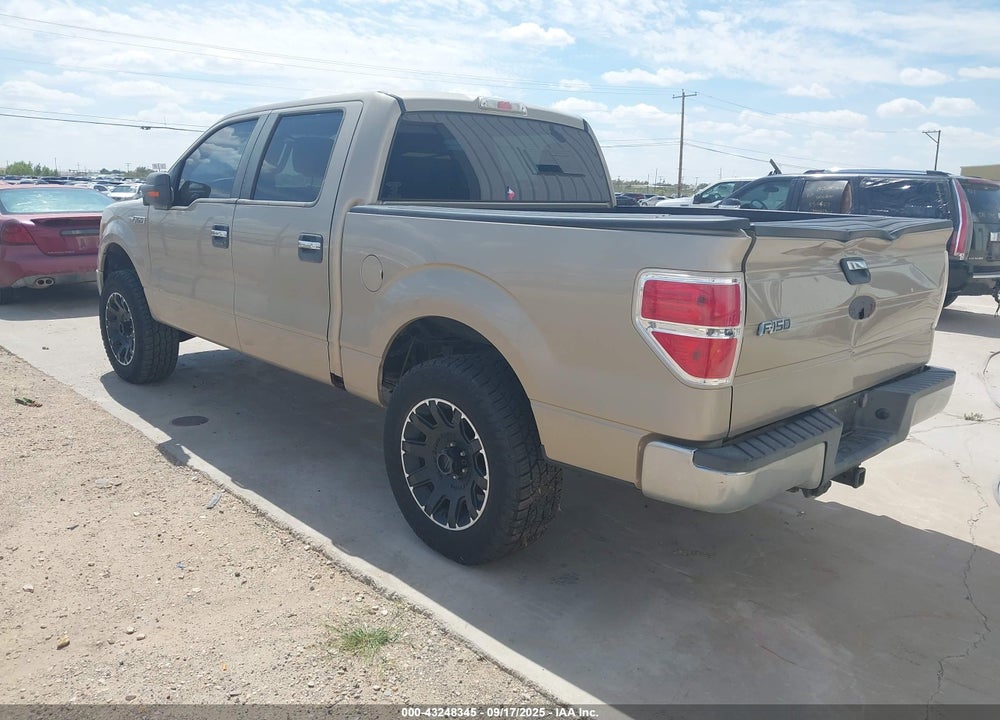 2010 FORD F-150 VIN: 1FTEW1E8XAFA52839