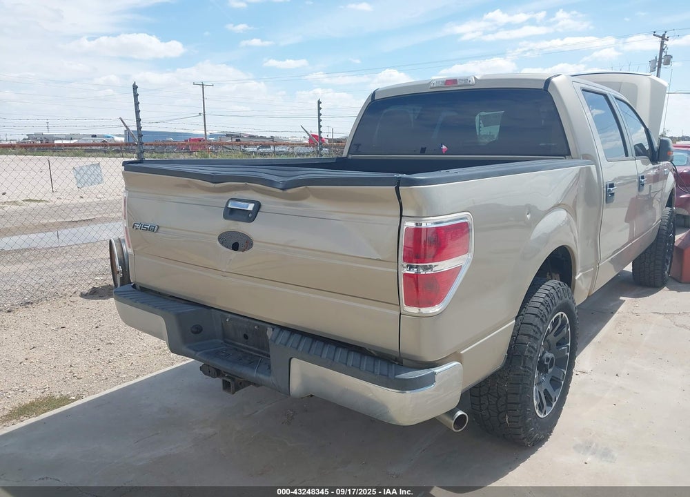 2010 FORD F-150 VIN: 1FTEW1E8XAFA52839