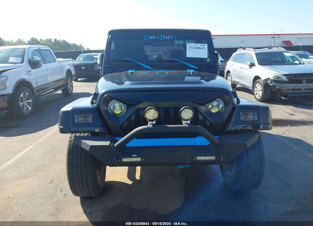 2003 JEEP WRANGLER / VIN: 1J4FA69S33P310695