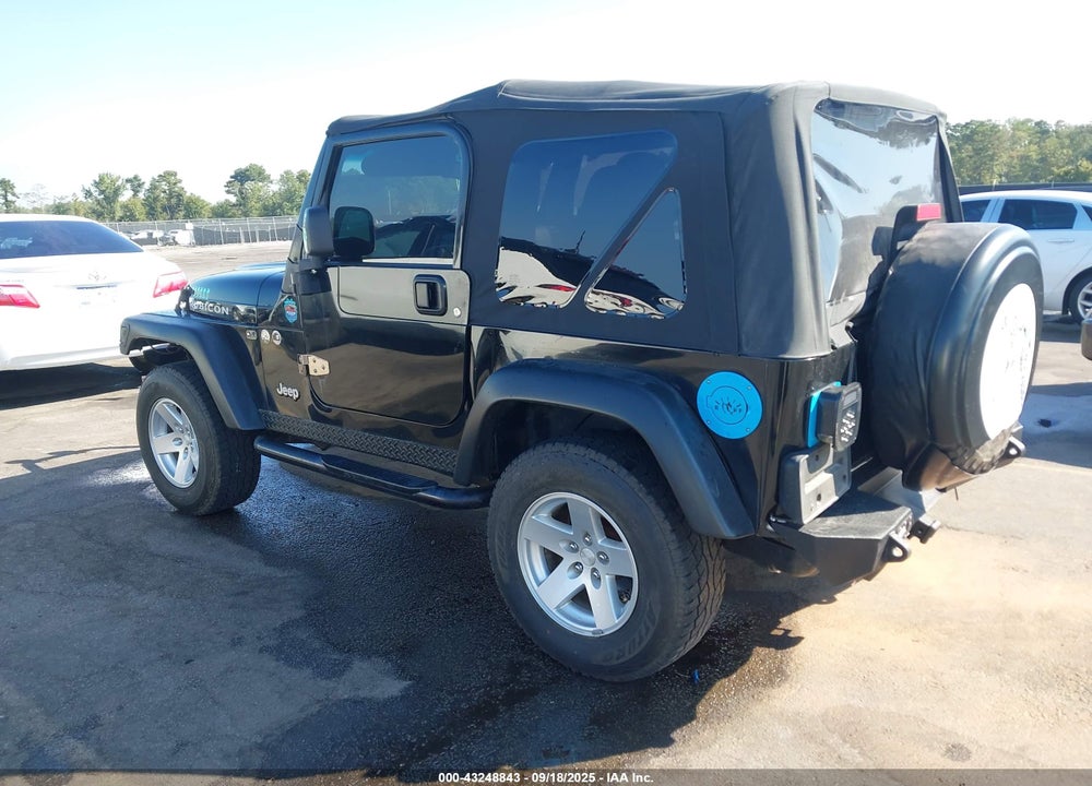 2003 JEEP WRANGLER / VIN: 1J4FA69S33P310695